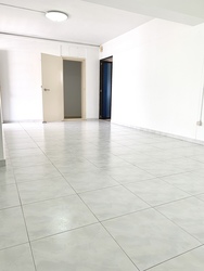 Blk 236 Compassvale Walk (Sengkang), HDB 4 Rooms #219825501